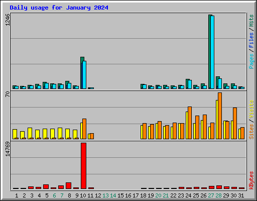 Daily usage for January 2024