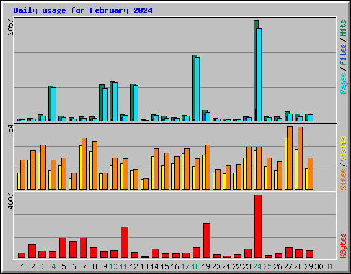 Daily usage for February 2024