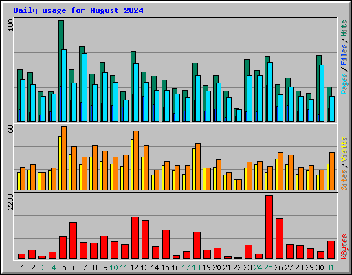 Daily usage for August 2024