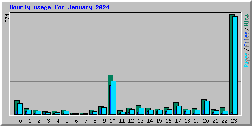 Hourly usage for January 2024