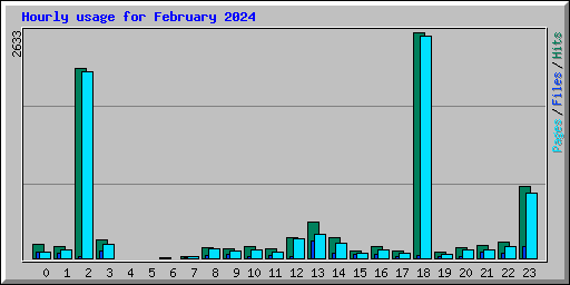 Hourly usage for February 2024