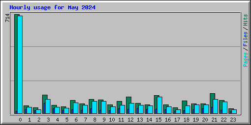 Hourly usage for May 2024