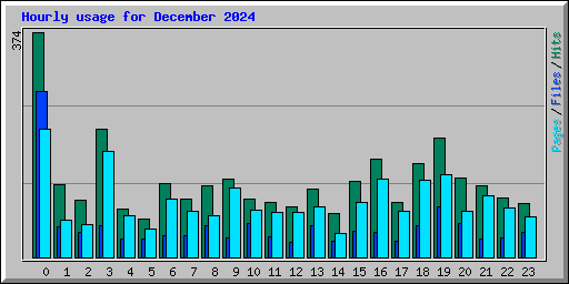 Hourly usage for December 2024